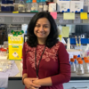 Dr Deboki Naskar